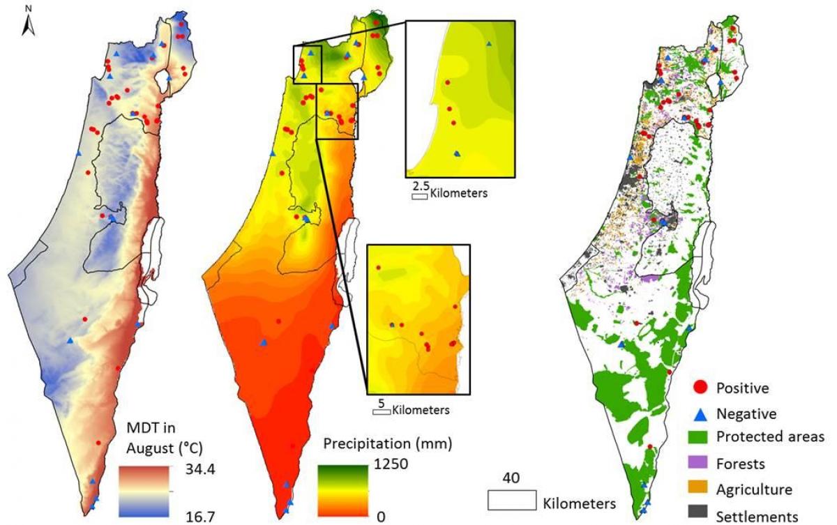 карта на израел клима